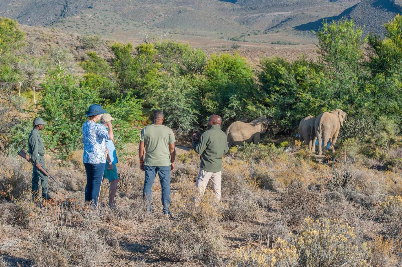 Mont Eco Game Reserve Montagu Exteriör bild